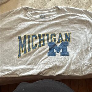 Champion Michigan Gray T-Shirt